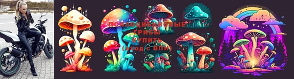 СК Алапаевск