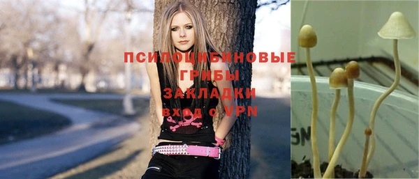 бошки Аксай