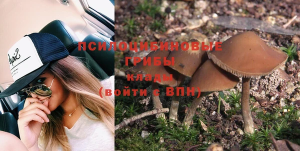 стафф Алагир