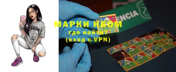 PSILOCYBIN Анжеро-Судженск