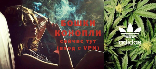 стафф Алагир