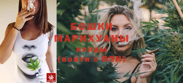 spice Анива