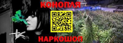 крисы Балаково