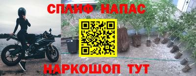 крисы Балаково