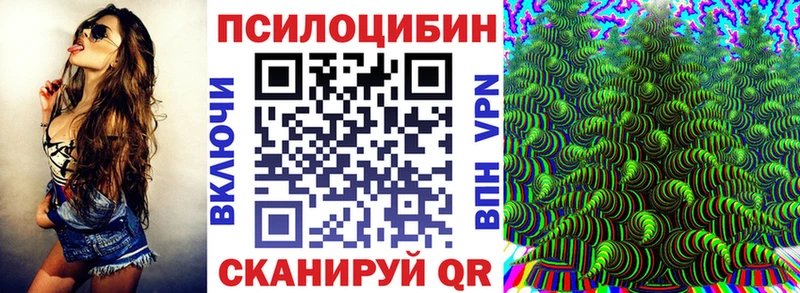 магазин    Большой Камень  площадка официальный сайт  Псилоцибиновые грибы мухоморы 