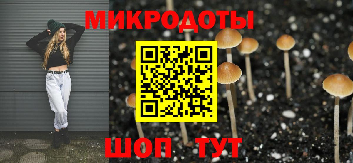 Галлюциногенные грибы мухоморы  Вход с VPN  Большой Камень 
