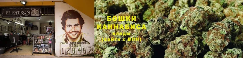 нарко площадка как зайти  Большой Камень  Бошки марихуана Amnesia 